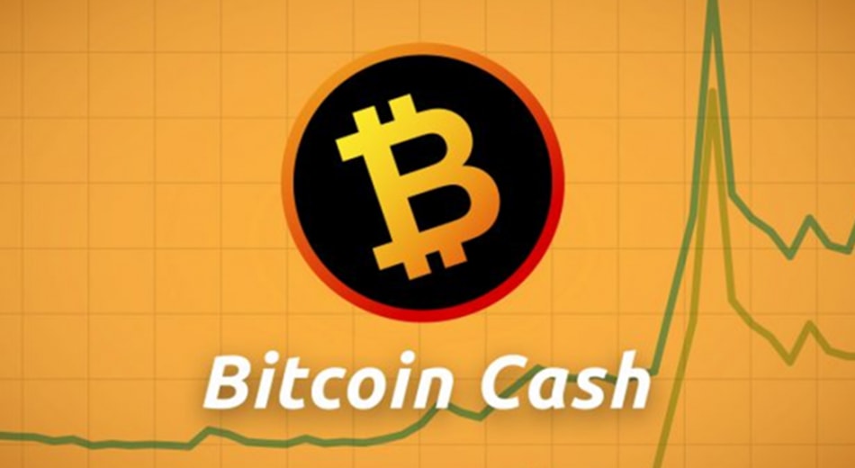  Bitcoin Cash!      ?
