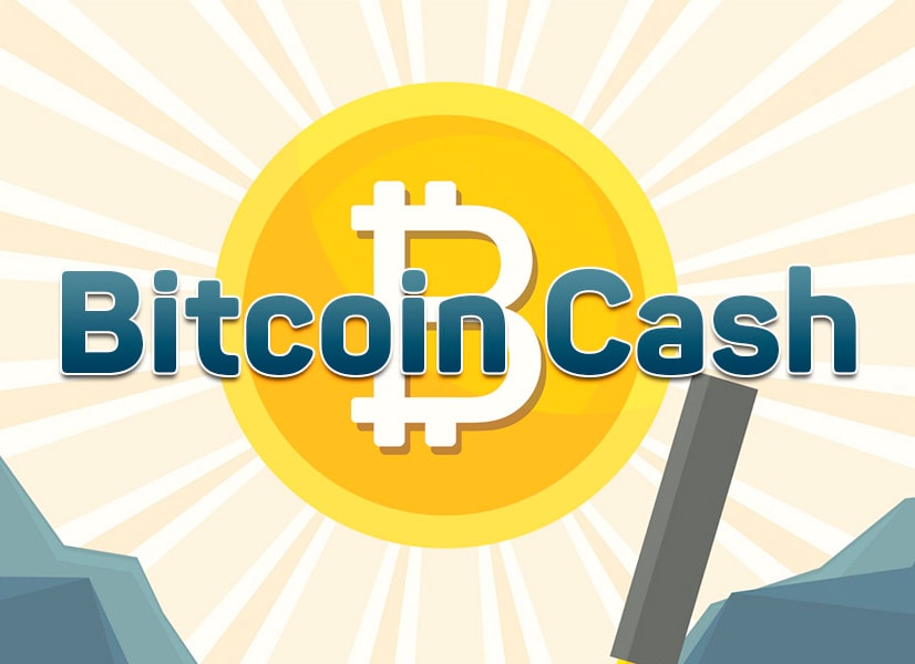      Bitcoin Cash