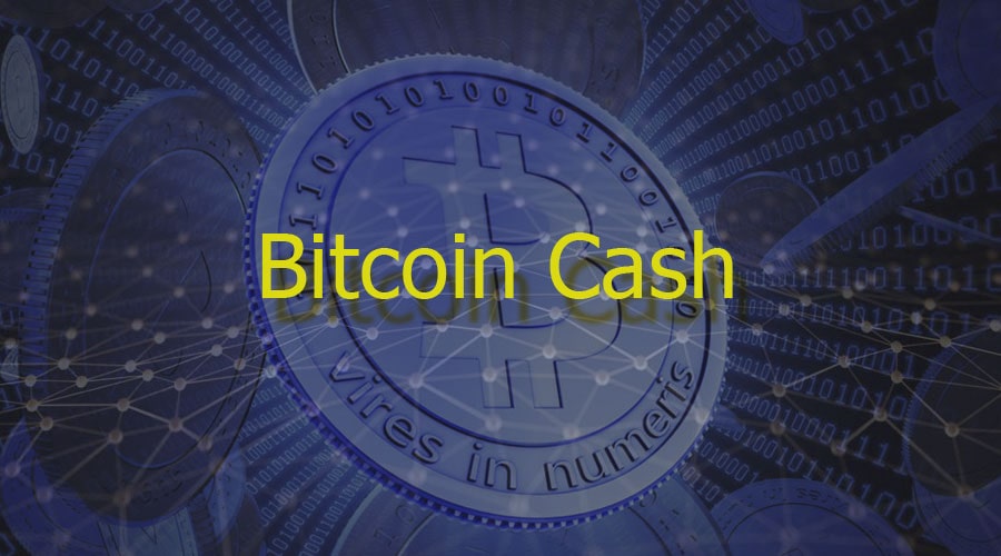 Bitcoin Cash   30%.    ?