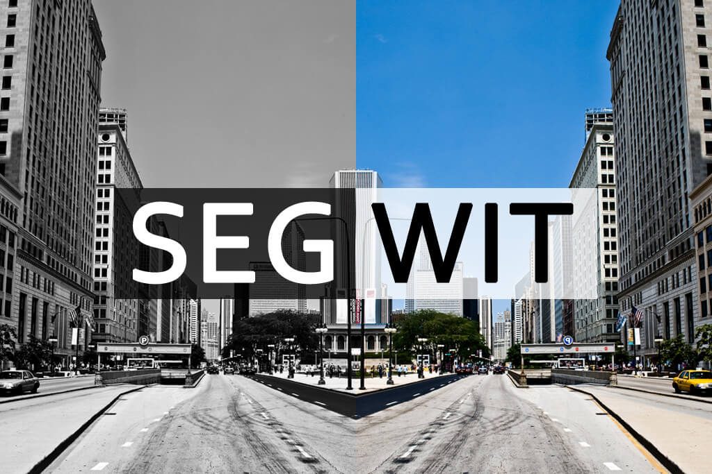  SegWit-    54%