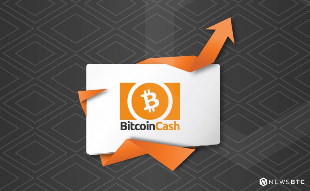 Bitcoin Cash   25% -  