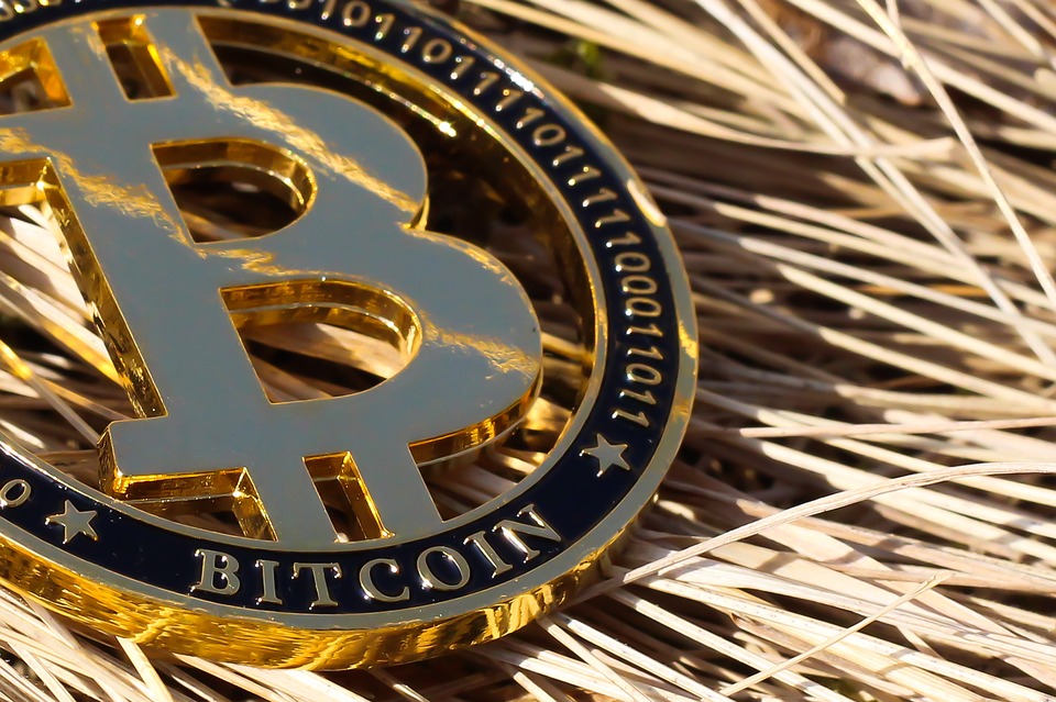 Babel Finance:  Bitcoin  20%    