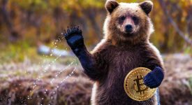 Цена Bitcoin упала ниже 8 000 и продолжает испытывать медвежье давление