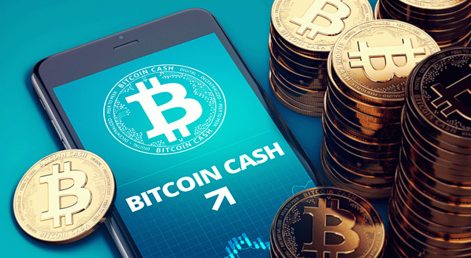 Что происходит с курсом Bitcoin Cash?