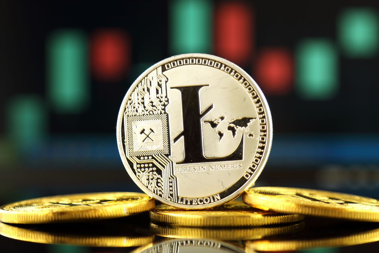 Bitcoin litecoin forks sports betting systems bookstore