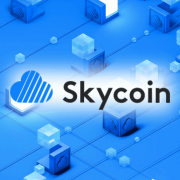 Skycoin обвинили в мошенничестве