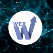 Обманутые трейдеры WEX подают на биржу в суд