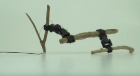 Робот, собранный из палок и сервоприводов, самостоятельно научился ходить